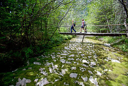 Two female hikers passing a swing bridge, Nockberge, Carinthia, Austria