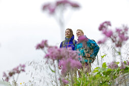 Two female hikers looking at view, Alpe-Adria-Trail, Nockberge, Carinthia, Austria