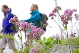 Two female hikers walking the Alpe-Adria-Trail, Nockberge, Carinthia, Austria