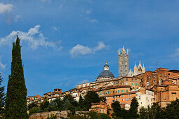 Cityscape with cathedral, Cattedrale di Santa Maria Assunta, Siena, Tuscany, Italy
