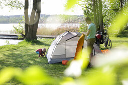 Vater und Sohn bauchen Zelt auf, Lychen, Naturpark Uckermärkische Seen, Uckermark, Brandenburg, Deutschland