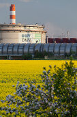 OMV Schwechat, Raffinerie, Rapsfeld, Schwechat, Niederösterreich, Österreich