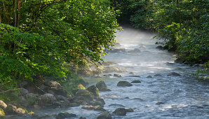 Steyr river, Hintertambergau, Upper Austria, Austria