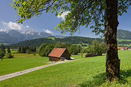 Rading bei Windischgarsten, Totes Gebirge, Oberösterreich, Österreich