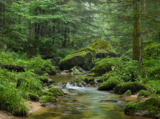 Giessenbach, Stillensteinklamm gorge, Grein an der Donau, Upper Austria, Austria