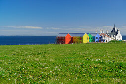 Wiese mit bunten Häusern im Hintergrund, John o' Groats, Küste von Duncansby, Duncansby Head, Highland, Schottland, Großbritannien, Vereinigtes Königreich