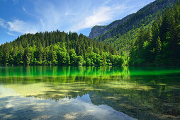 Trees reflecting in lake Tovel, lake Tovel, Brenta range, Brenta, Dolomites, UNESCO World Heritage Site Dolomites, Trentino, Italy