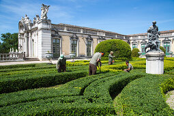 Gärtner pflegen den Garten am Schloss Palacio de Queluz, Lissabon, Portugal