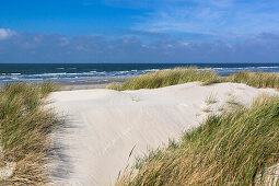 Dunes with grass, Ammophila arenaria, Spiekeroog Island, National Park, North Sea, East Frisian Islands, East Frisia, Lower Saxony, Germany, Europe