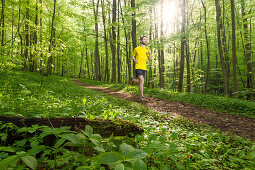 Junger Mann joggt in einem Buchenwald, Nationalpark Hainich, Thüringen, Deutschland