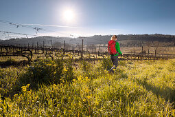 Young woman hiking across a vineyard, Val d Orcia, Tuscany, Italy