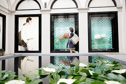 Woman window shopping, Via Montenapoleone, Golden Triangle, Milan, Lombardy, Italy