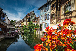 Fachwerkhäuser und Sommerblumen, Petite Venise, Colmar, Elsass, Frankreich