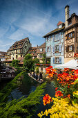 Fachwerkhäuser und Sommerblumen, Petite Venise, Colmar, Elsass, Frankreich