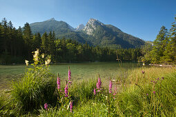 Hintersee mit Blick zum Hochkalter, Ramsau, Berchtesgadener Land, Nationalpark Berchtesgaden, Oberbayern, Bayern, Deutschland