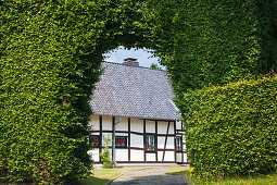 Fachwerkhaus hinter einem Torbogen in einer Buchenhecke im Ortsteil Monschau-Höfen, Eifelsteig, Eifel, Nordrhein-Westfalen, Deutschland