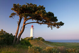 Leuchtturm auf dem Dornbusch, Insel Hiddensee, Nationalpark Vorpommersche Boddenlandschaft, Ostsee, Mecklenburg-Vorpommern, Deutschland