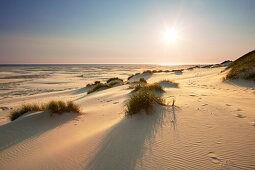 Dünen am Strand, Kniepsand, Insel Amrum, Nordsee, Nordfriesland, Schleswig-Holstein, Deutschland