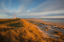 List Ost lighthouse in the morning, Ellenbogen peninsula, Sylt island, North Sea, North Friesland, Schleswig-Holstein, Germany