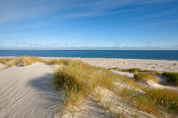 Dunes on the beach, Ellenbogen peninsula, Sylt island, North Sea, North Friesland, Schleswig-Holstein, Germany