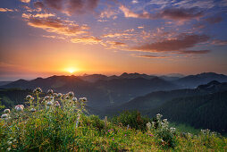 Blick vom Setzberg auf Sonnenaufgang über Breitenstein, Wendelstein, Jägerkamp, Aiplspitz, Hochmiesing, Rotwand und Kaisergebirge, Bayerische Alpen, Oberbayern, Bayern, Deutschland