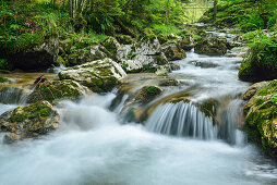 Waterfall, Samerberg, Upper Bavaria, Bavaria, Germany