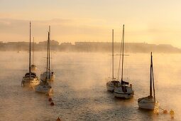 Boats moored on the Teign estuary in Teignmouth, South Devon, England, UK, Europe