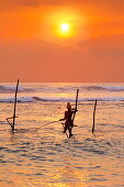Sri Lanka - fisherman catches fish in a traditional way, Koggala Beach at sunset time, south part of Sri Lanka, Indian Ocean coast, Asia