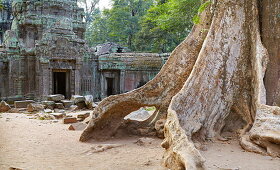 Ta Prohm Temple, Angkor Temples Complex, Siem Reap Province, Cambodia, Asia