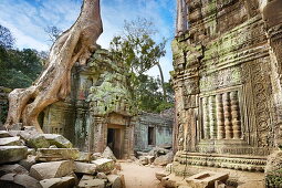 Angkor Temples complex - ruins of Ta Prohm Temple, Angkor old Khmer Empire, Cambodia, Asia