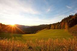 Sonnenaufgang über einer Alm, Steiermark, Österreich