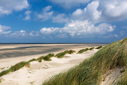 Dunes on the beach, Langeoog Island, North Sea, East Frisian Islands, National Park, Unesco World Heritage Site, East Frisia, Lower Saxony, Germany, Europe