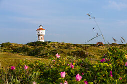 Wasserturm mit Wildrosen, Wahrzeichen, Langeoog, Ostfriesische Inseln, Nordsee, Ostfriesland, Niedersachsen, Deutschland, Europa