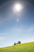 Pedelec cyclist on the way, Upper Bavaria, Germany