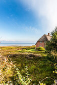 Thatched-roof house with Wadden Sea in background, Kampen, Sylt, Schleswig-Holstein, Germany