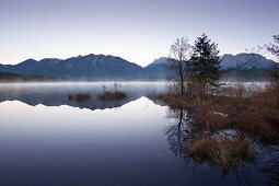 Morgennebel, Blick über den Barmsee auf Soierngruppe und Karwendelgebirge, bei Mittenwald, Bayern, Deutschland