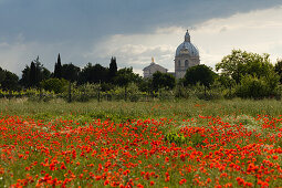 Basilica of Santa Maria degli Angeli church, St. Mary of the Angel with poppy field full of poppies in the foreground, Assisi, St. Francis of Assisi, Via Francigena di San Francesco, St. Francis Way, Assisi, province of Perugia, Umbria, Italy, Europe