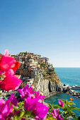 View to Manarola, Riomaggiore, Cinque Terre, La Spezia, Liguria, Italy