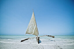 Dhow, traditional sailing boat, Zanzibar, Tanzania, Africa