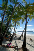 Palm trees on the beach, Ngapali, most famous beach resort in Burma at the Bay of Bengal, Rakhaing State, Arakan, Myanmar, Burma