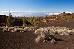 Caldera Landscape of Teide National Park, Tenerife, Spain