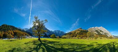 Grosser Ahornboden with the Karwendel mountain in the background, Tyrol, Austria