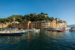 Portofino und Hafen von Portofino, Provinz Genua, Riviera di Levante, Ligurien, Italien