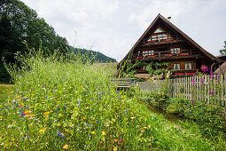 Alte Ölmühle und Blumenwiese, Simonswald bei Freiburg im Breisgau, Schwarzwald, Baden-Württemberg, Deutschland