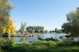 Pasture landscape at the mouth of the Isar river, Moos, Lower Bavaria, Bavaria, Germany