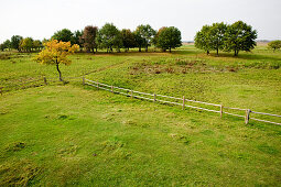 Weidelandschaft, Nationalpark Biebrza-Flusstal, Woiwodschaft Podlachien, Polen