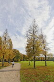 Herbsttag im Englischen Garten, München, Oberbayern, Bayern, Deutschland