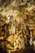 Tropfsteinhöhle, Borgio Verezzi, Provinz Savona, Ligurien, Italien