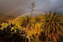 Regenbogen, Palmen, Berge, Gebirge, Tal von El Risco, bei Agaete, Naturschutzgebiet, Naturpark Tamadaba, UNESCO Biosphärenreservat, Westküste, Gran Canaria, Kanarische Inseln, Spanien, Europa