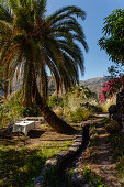 Garden table under palm tree, hiking trail along irrigation channal, Natural Preserve, Parque Natural de Tamadaba, UNESCO Biosphere Reserve, West coast, Gran Canaria, Canary Islands, Spain, Europe